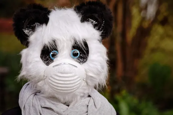 Vegadream Cazino Cazinou Suport